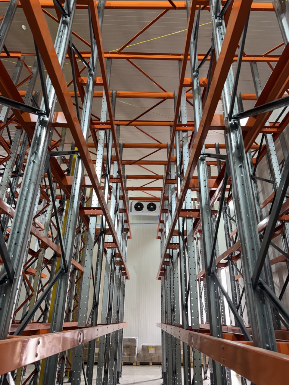 Estructura Drive In en altura dentro de la cámara de frío en Quilicura