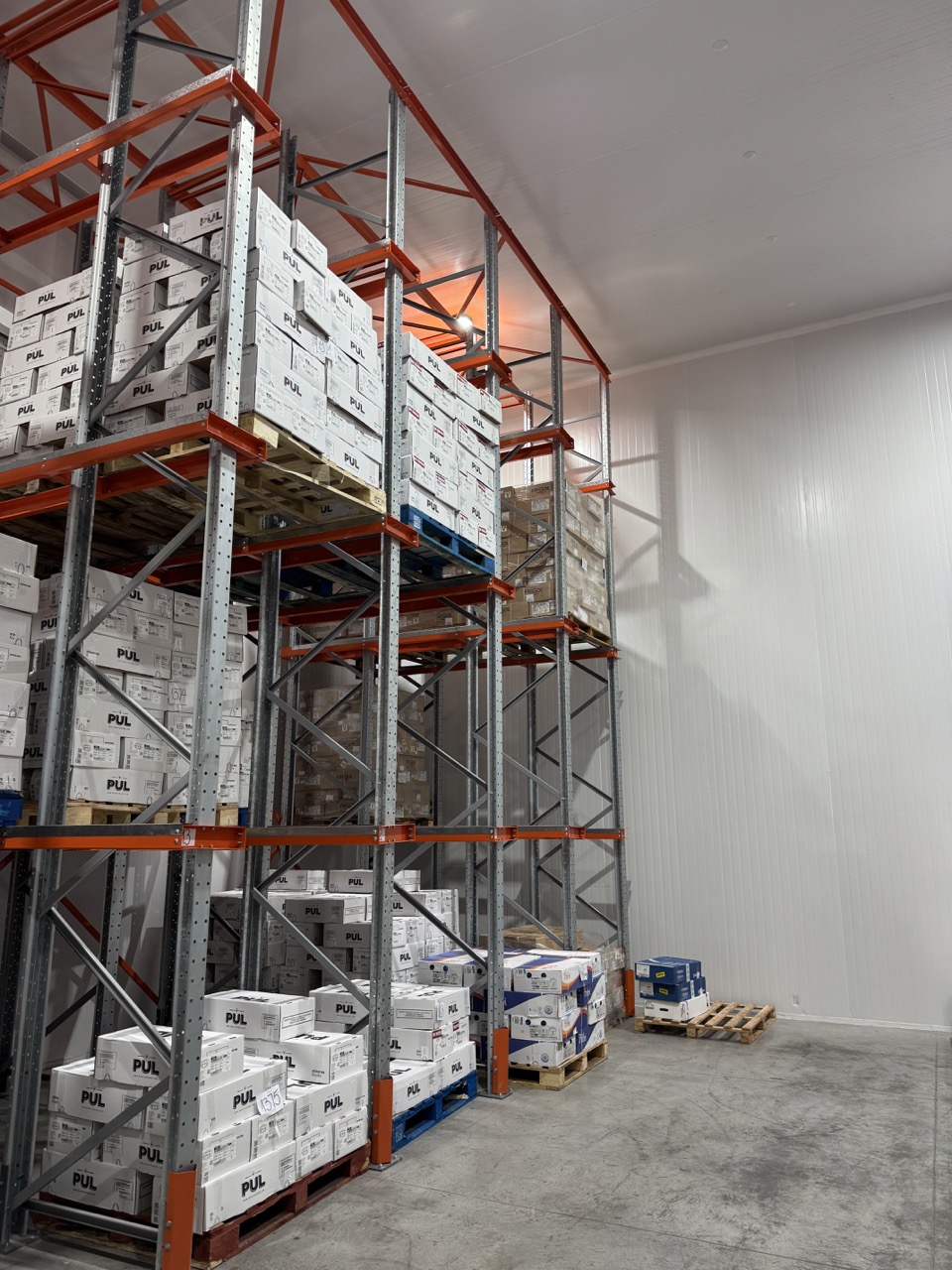 Rack Drive In en cámara de frío con pallets almacenados en altura