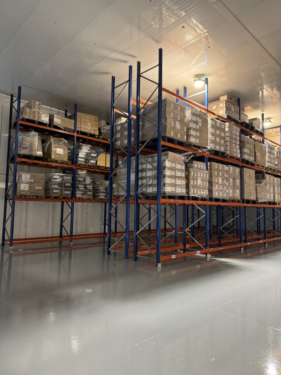 Rack selectivo cargado con pallets de insumos médicos en Quilicura
