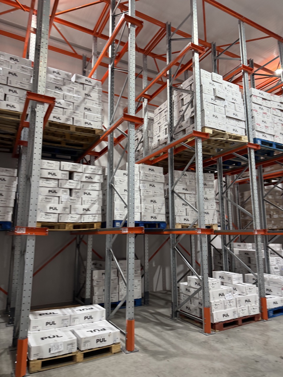 Estructura Drive In con pallets en varios niveles dentro de la cámara de frío