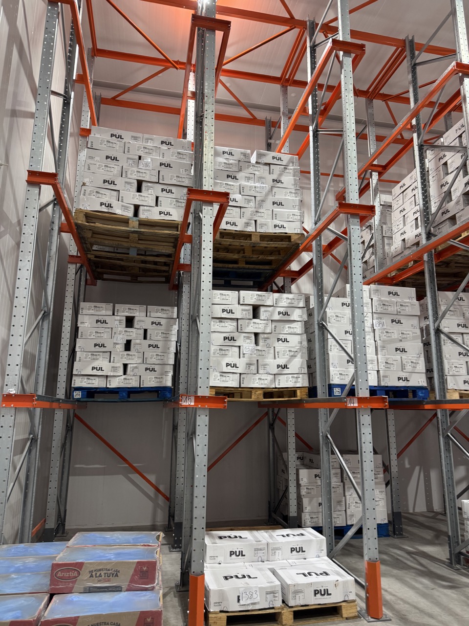 Vista frontal del rack Drive In con carga palletizada en cámara de frío