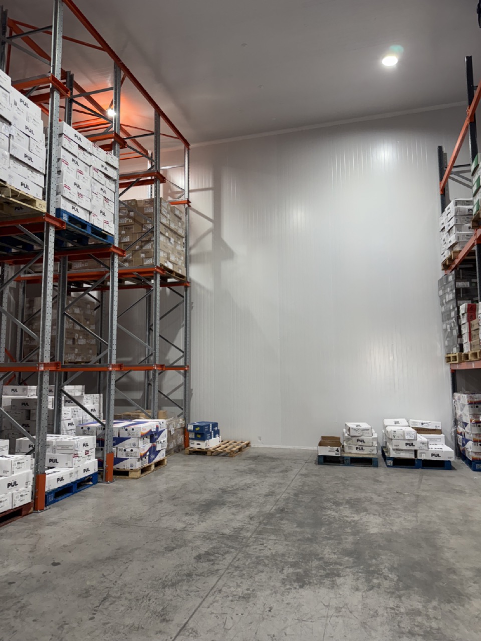 Cámara de frío con racks Drive In instalados a ambos costados