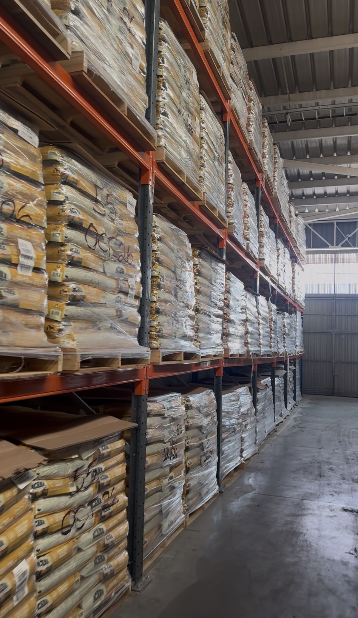 Rack selectivo en Quilicura: sistema de almacenaje ya instalado (4)